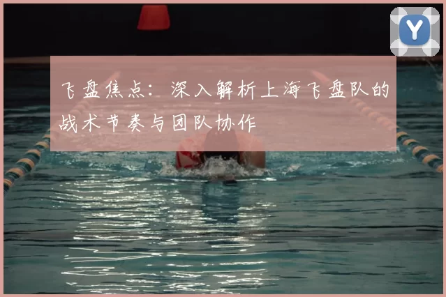 飞盘焦点：深入解析上海飞盘队的战术节奏与团队协作