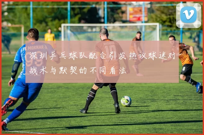 深圳乒乓球队配合引发热议球迷对战术与默契的不同看法