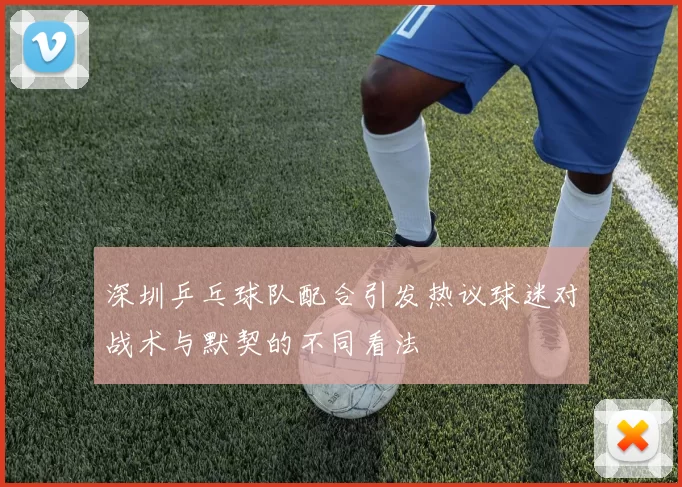 深圳乒乓球队配合引发热议球迷对战术与默契的不同看法