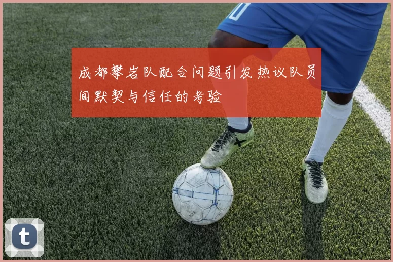 成都攀岩队配合问题引发热议队员间默契与信任的考验