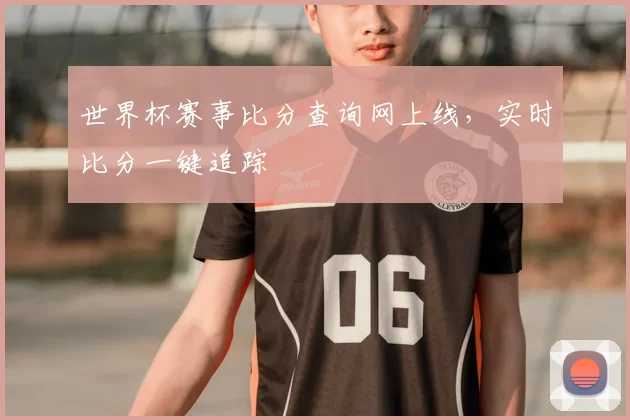 世界杯赛事比分查询网上线,实时比分一键追踪