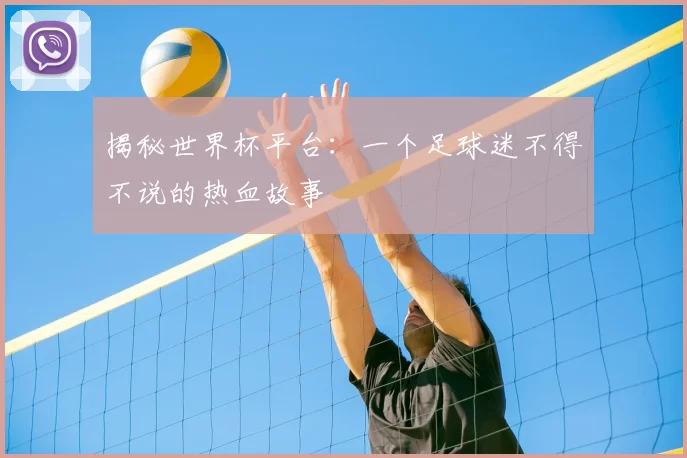 揭秘世界杯平台：一个足球迷不得不说的热血故事