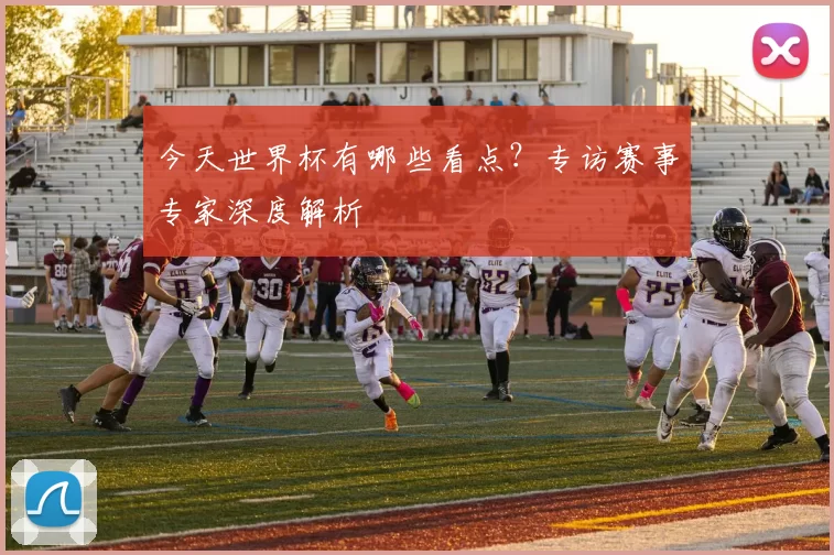 今天世界杯有哪些看点?专访赛事专家深度解析