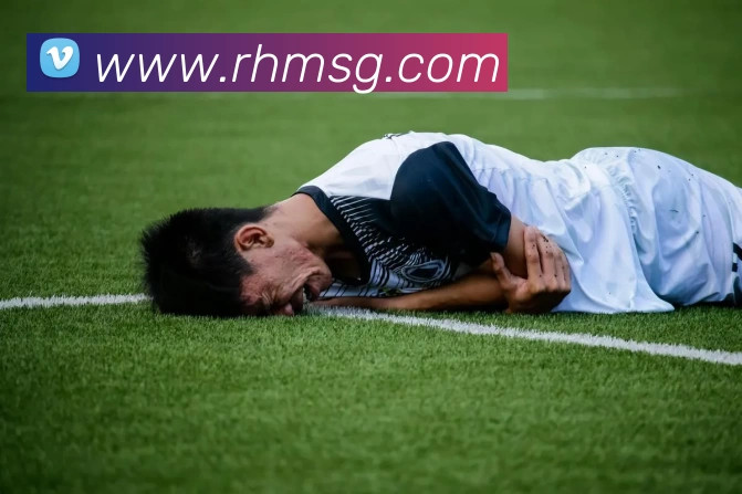 线上买球平台生态图